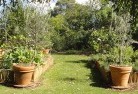 Wickham WAvegetable-gardens-3.jpg; ?>